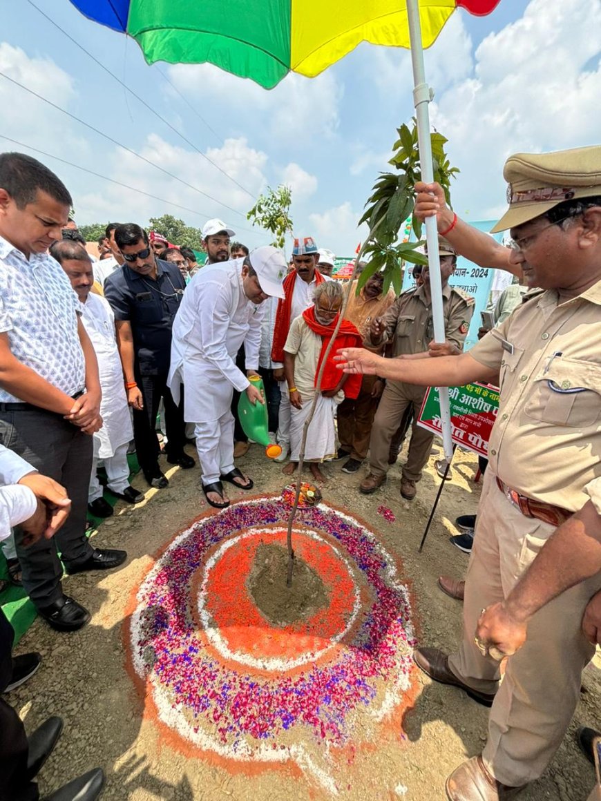 मंत्री आशीष पटेल ने "एक पेड़ मां के नाम" अभियान के तहत सुल्तानपुर में पौधरोपण किया