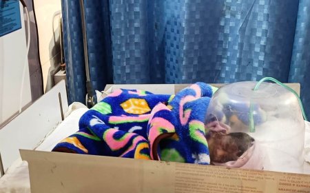 धान के खेत में लावारिस मिली आठ माह  की नवजात बच्ची 