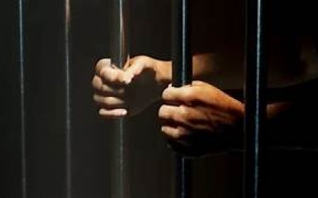 भारतीय मूल के डॉक्टर नील के. आनंद को अमेरिका में 14 साल की जेल