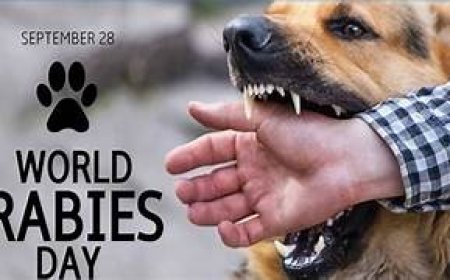 रेबीज वायरस के संक्रमण से होने वाली घातक बीमारी, लेकिन बचाव संभव