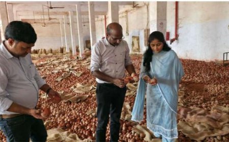 पुरानी आलू को नई बनाने के लिए व्यापारी कर रहे खतरनाक रासायन का प्रयोग, FSDA  ने  राज्य के 737 प्रतिष्ठानों पर एक साथ की छापेमारी