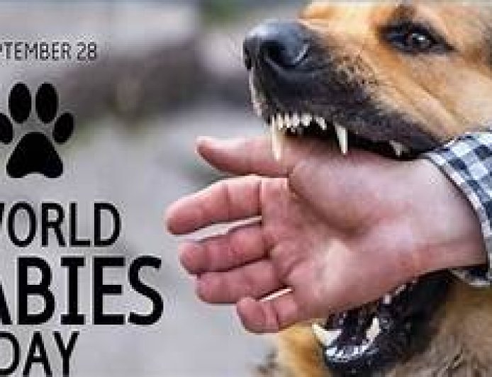 रेबीज वायरस के संक्रमण से होने वाली घातक बीमारी, लेकिन बचाव संभव