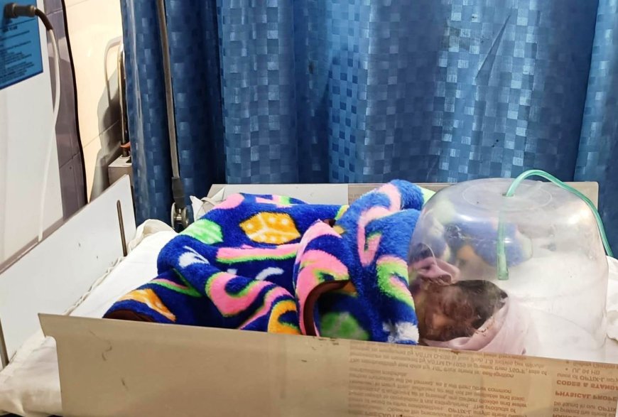 धान के खेत में लावारिस मिली आठ माह  की नवजात बच्ची 