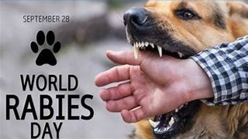 रेबीज वायरस के संक्रमण से होने वाली घातक बीमारी, लेकिन बचाव संभव