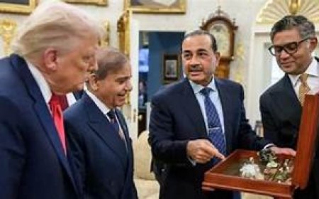 अब दुर्लभ खनिजों का भंडार भी दांव पर, पाकिस्तान ने अमेरिका से की डील