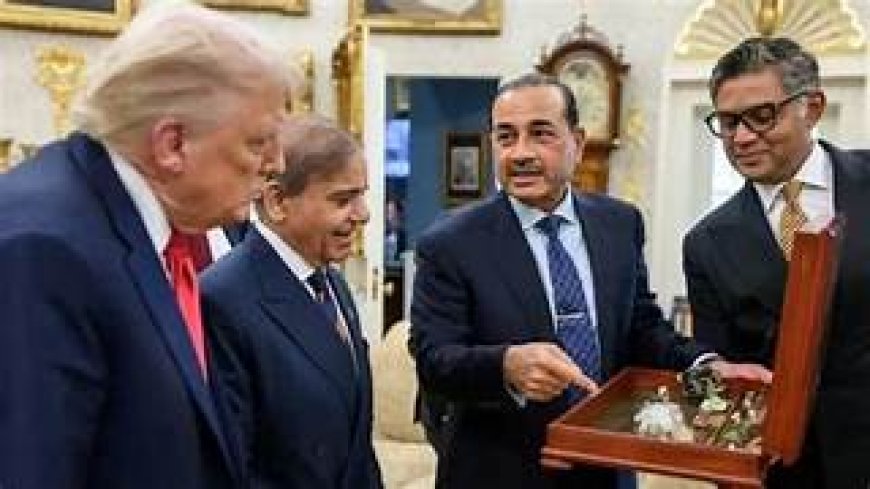 अब दुर्लभ खनिजों का भंडार भी दांव पर, पाकिस्तान ने अमेरिका से की डील