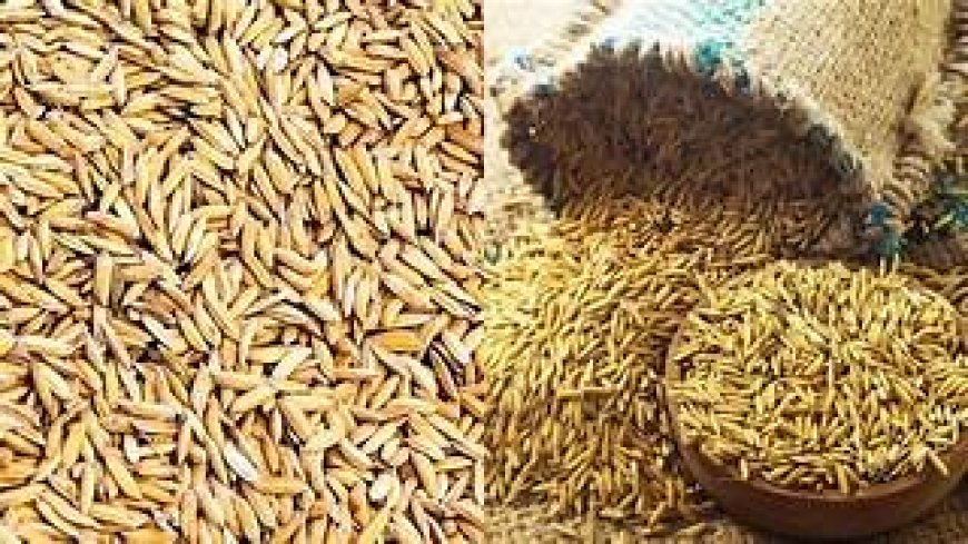 धान, बाजरा, ज्वार क्रय हेतु खरीद नियंत्रण कक्ष स्थापित, कर्मचारियों की लगायी गयी ड्यूटी